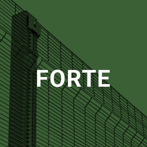 Design Master Forte